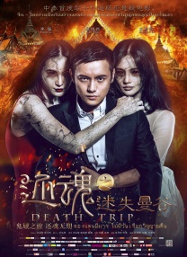 迷人的猫老师